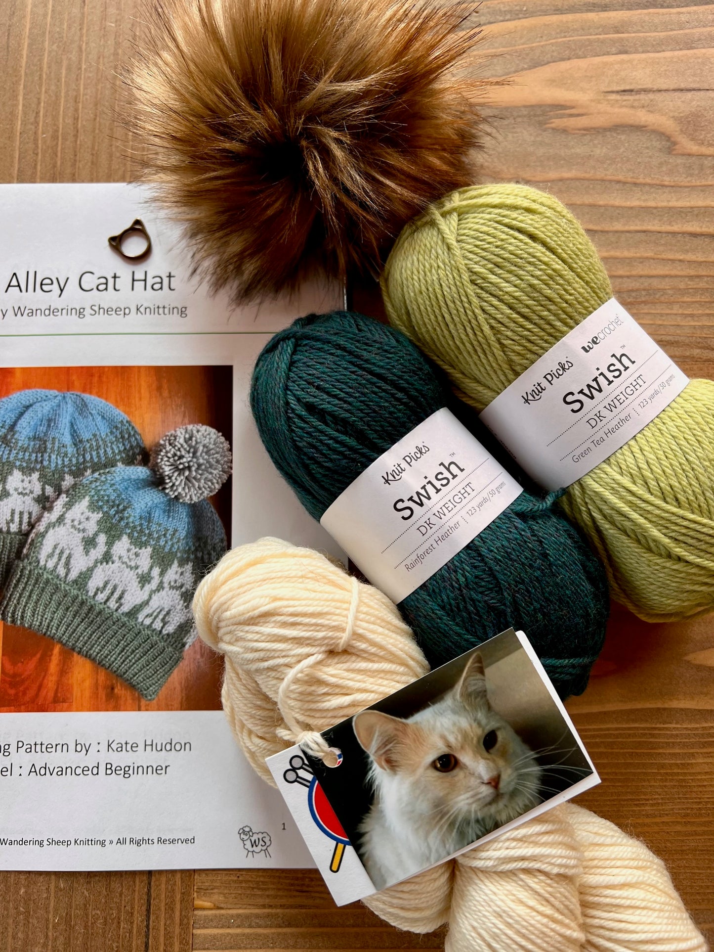Alley Cat Hat - Green Knitting Kit