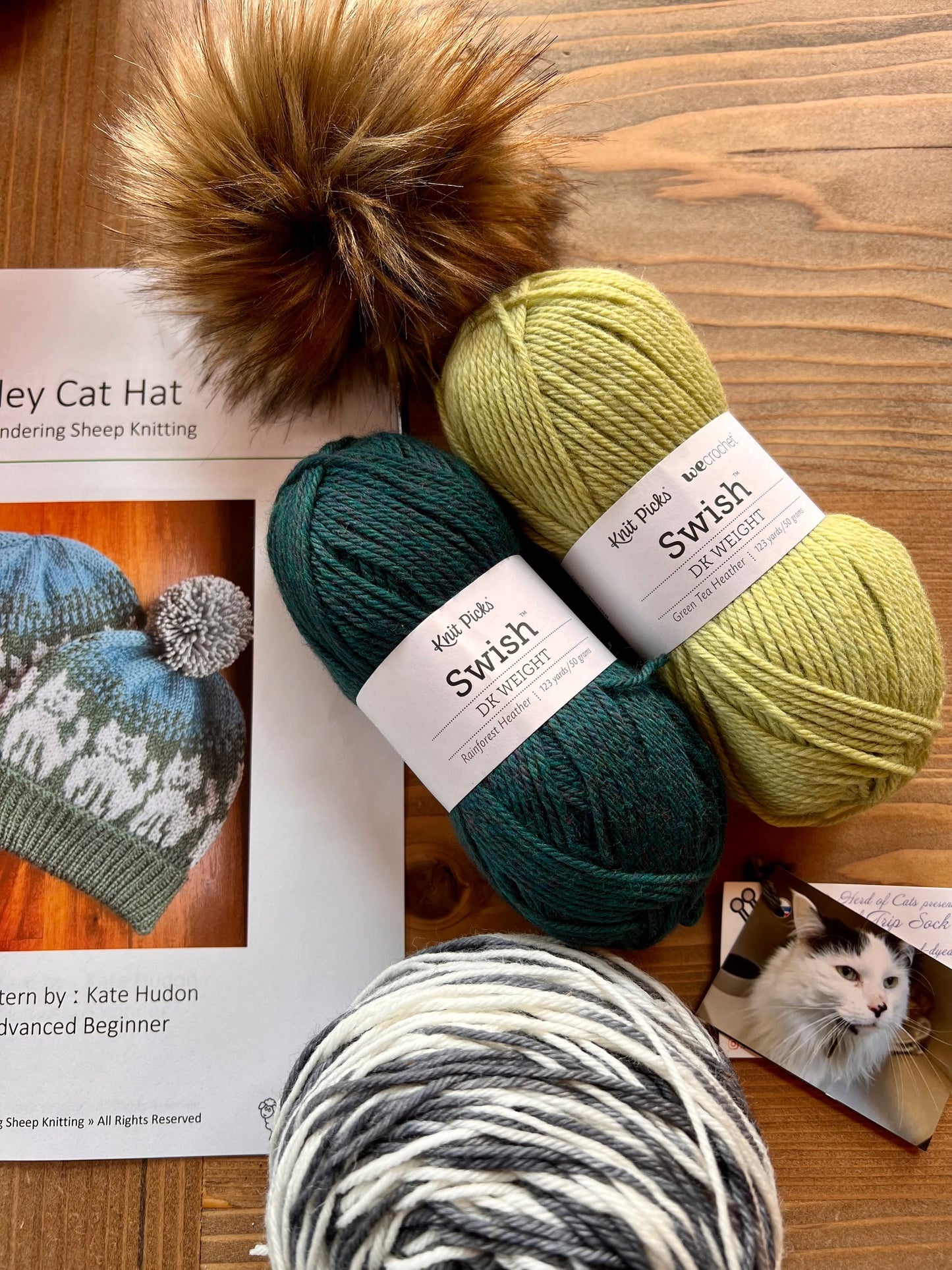 Alley Cat Hat - Green Knitting Kit