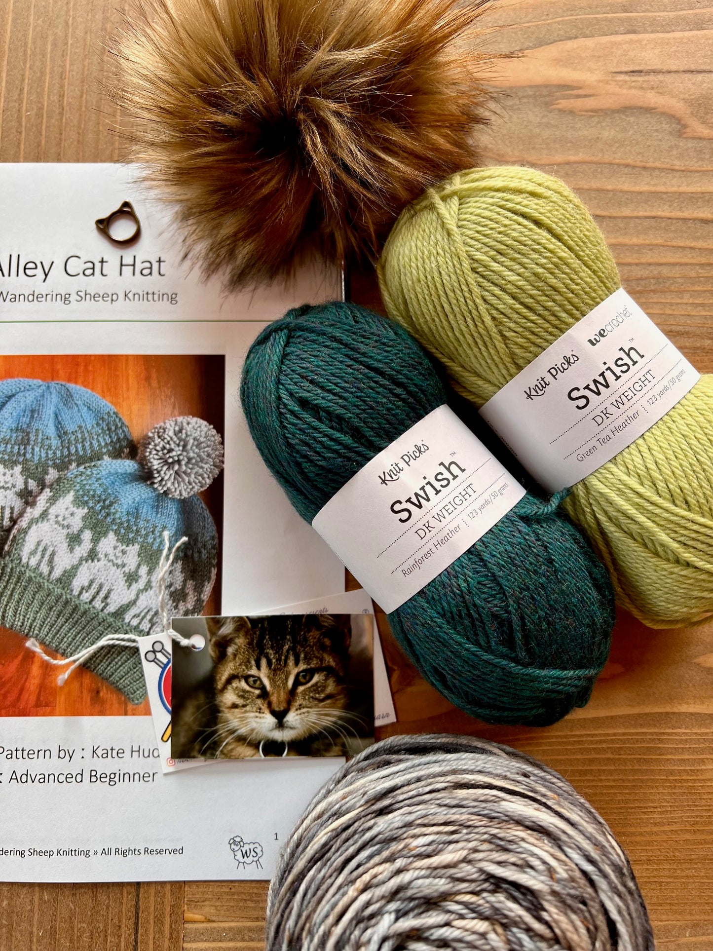 Alley Cat Hat - Green Knitting Kit