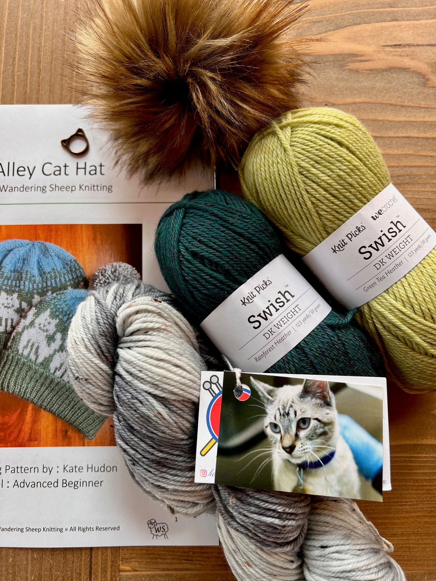 Alley Cat Hat - Green Knitting Kit