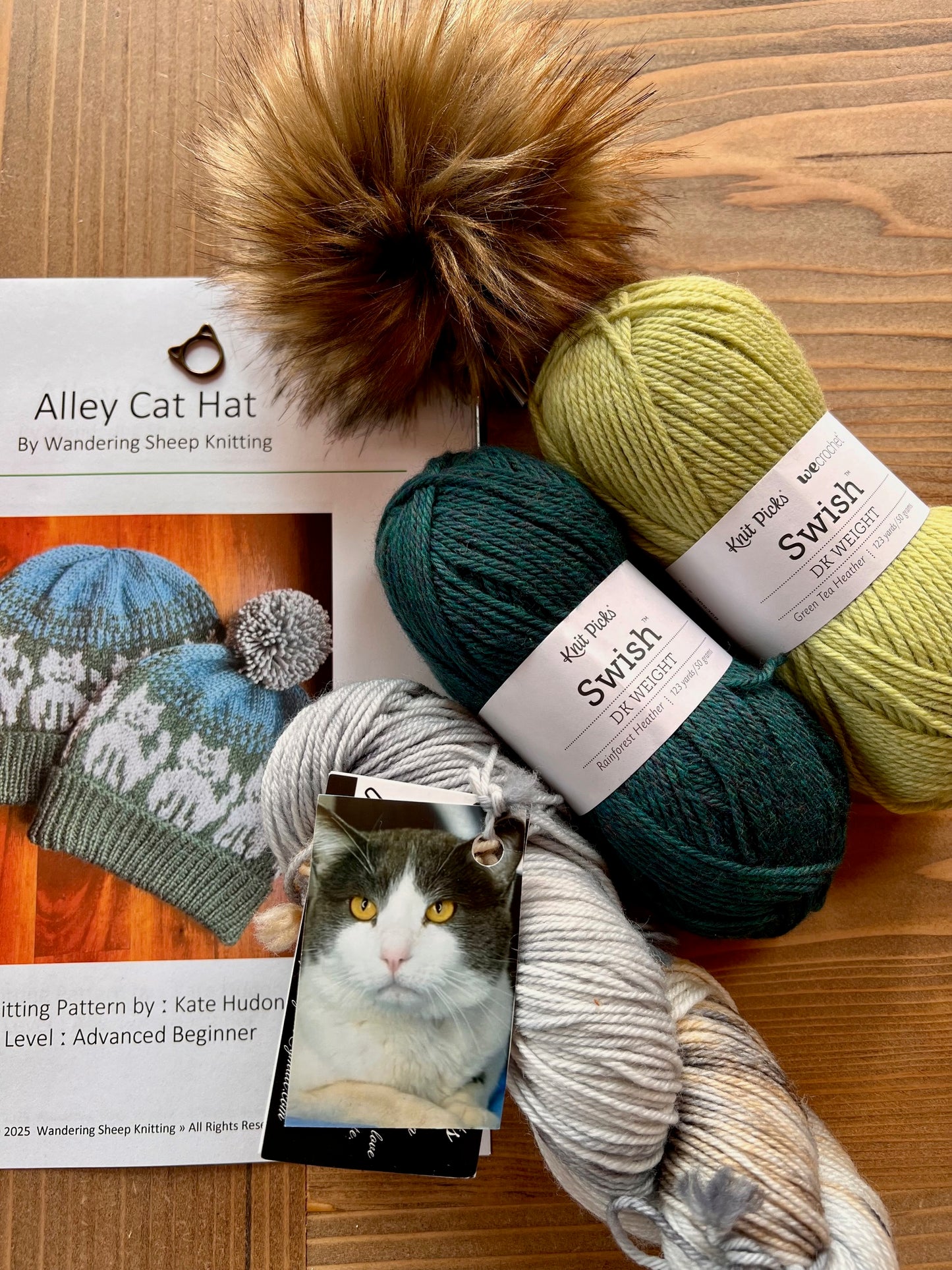 Alley Cat Hat - Green Knitting Kit