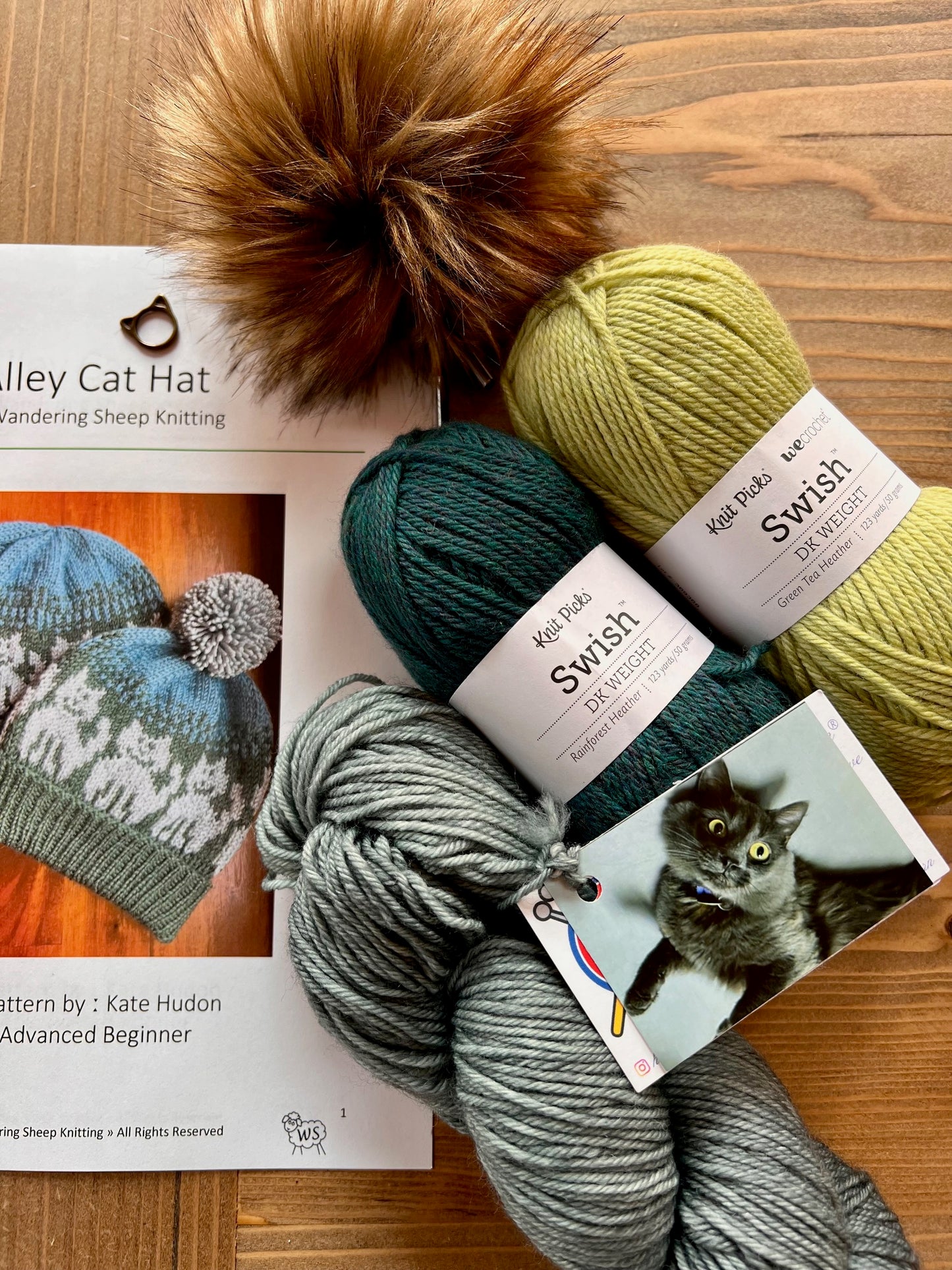 Alley Cat Hat - Green Knitting Kit