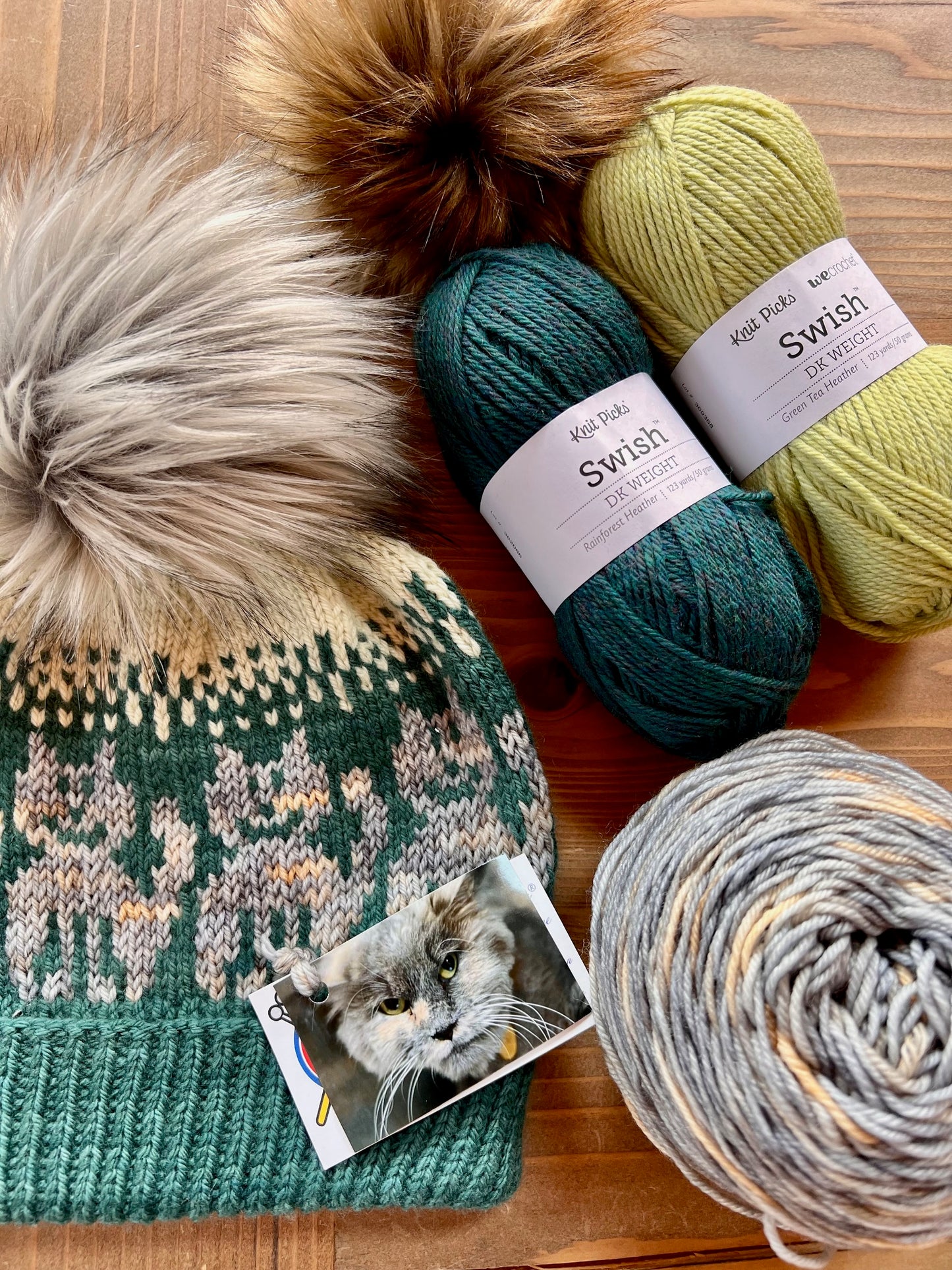 Alley Cat Hat - Green Knitting Kit