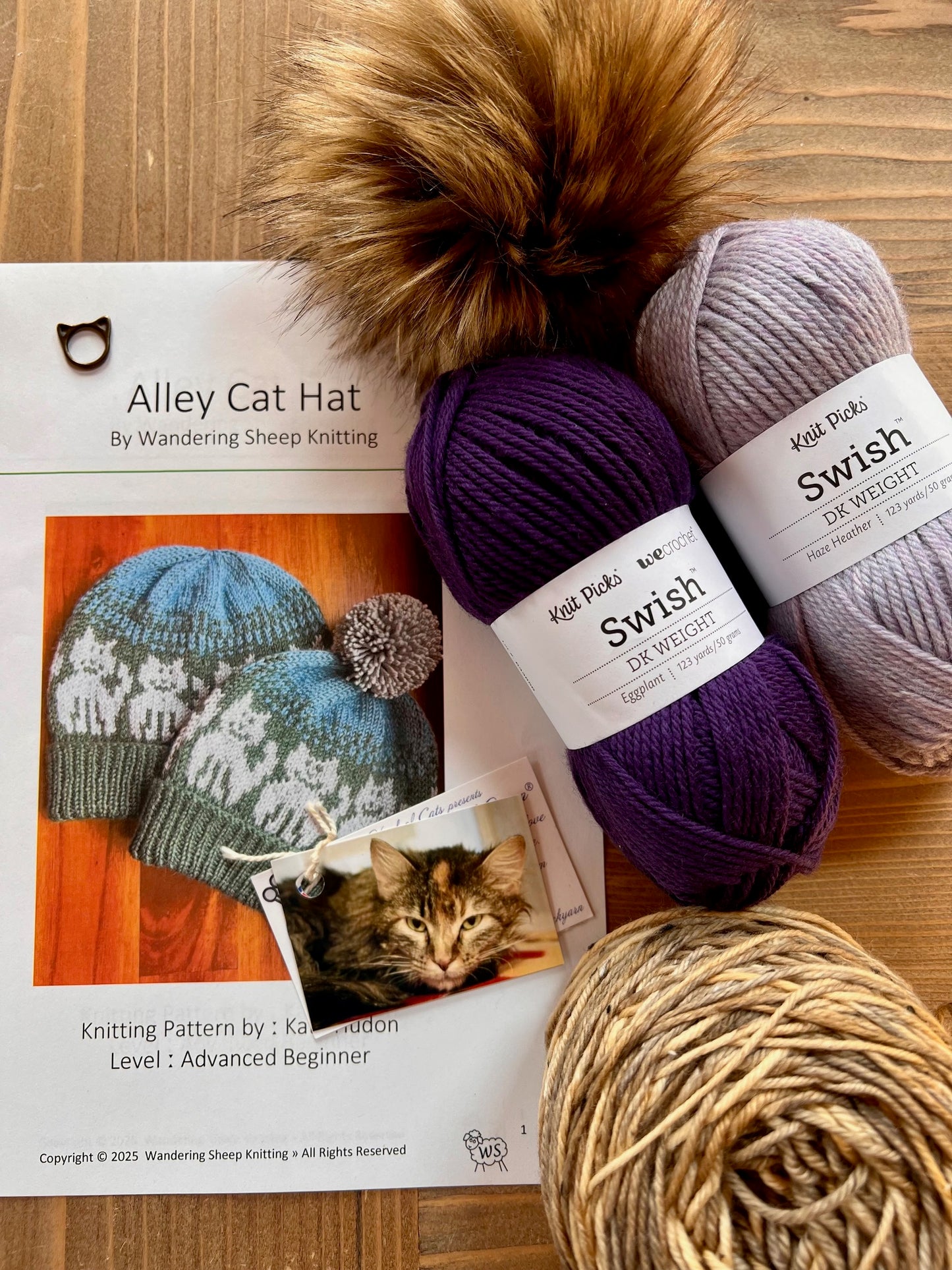 Alley Cat Hat - Purple Knitting Kit