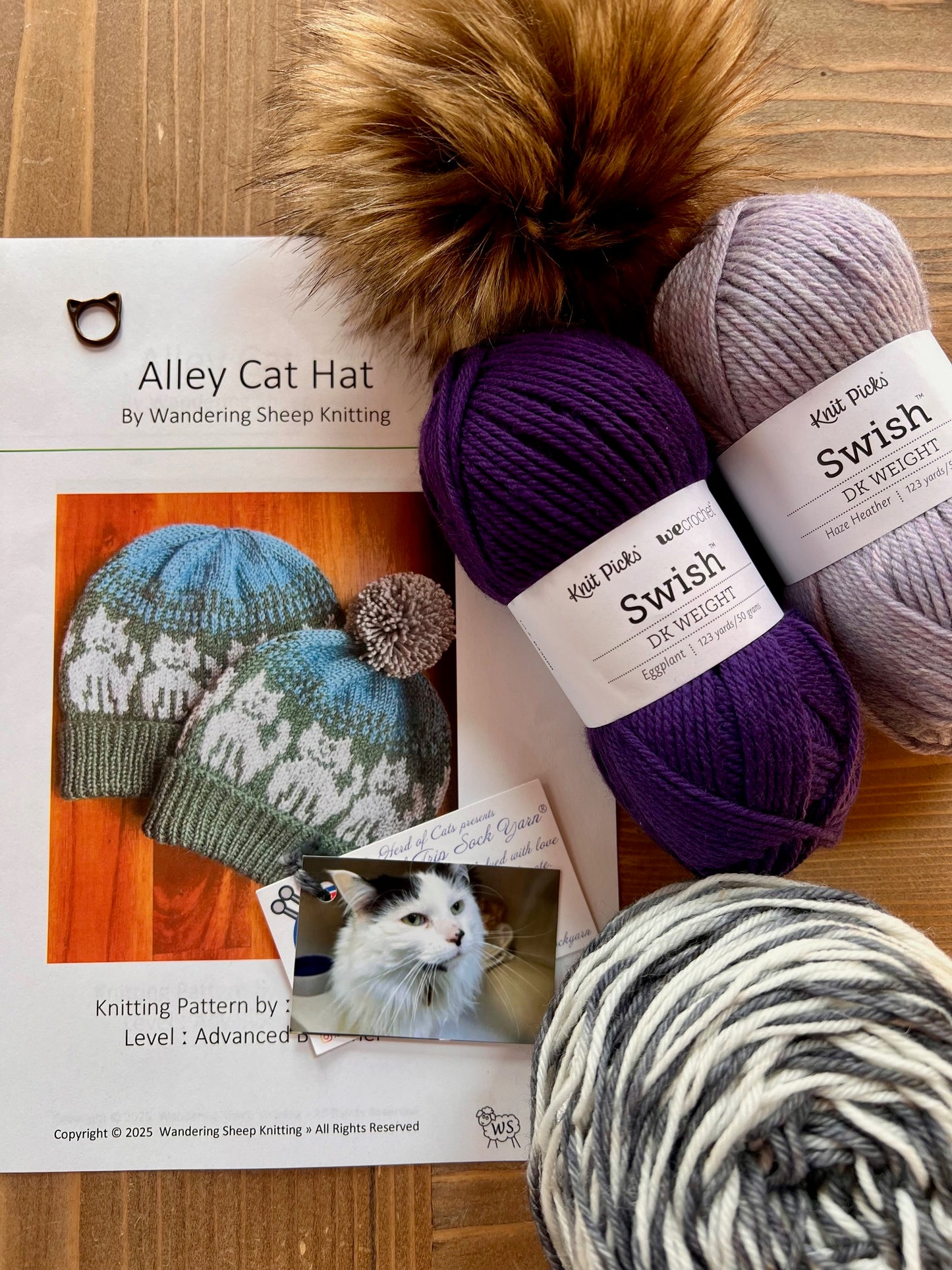 Alley Cat Hat - Purple Knitting Kit