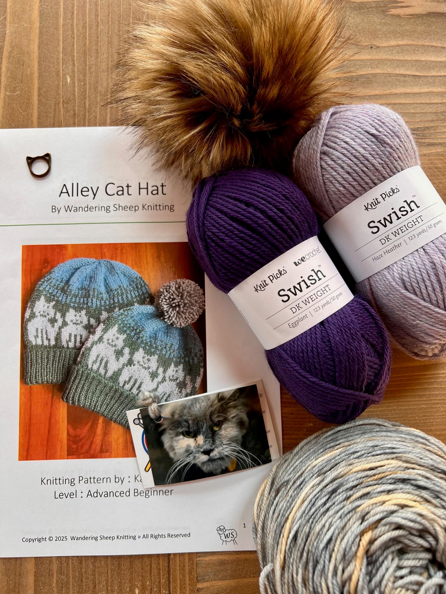 Alley Cat Hat - Purple Knitting Kit