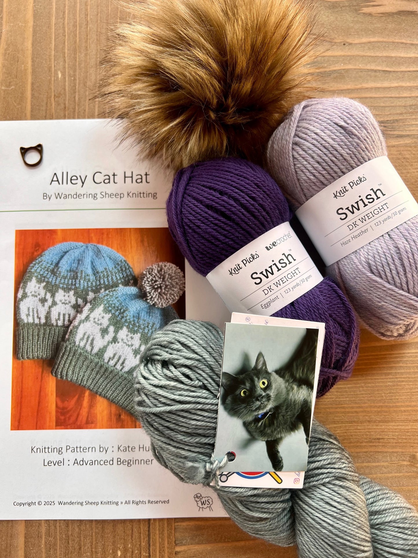 Alley Cat Hat - Purple Knitting Kit