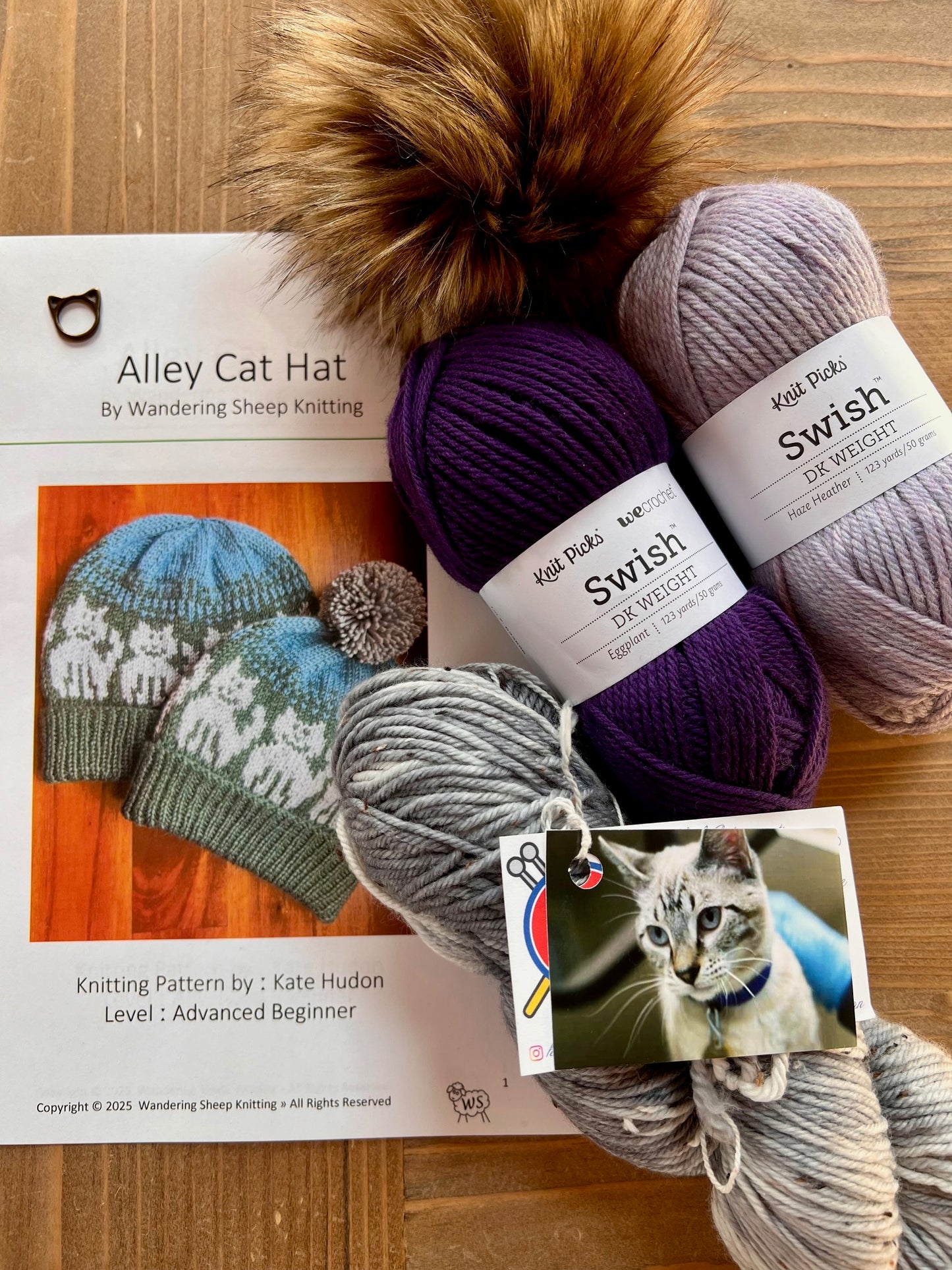 Alley Cat Hat - Purple Knitting Kit