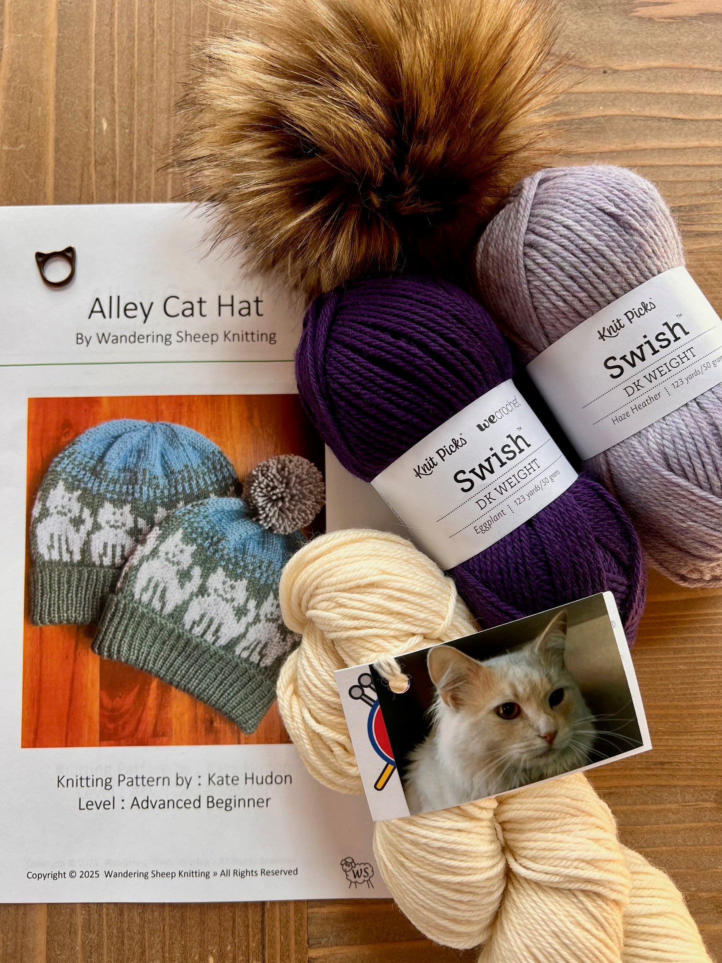 Alley Cat Hat - Purple Knitting Kit