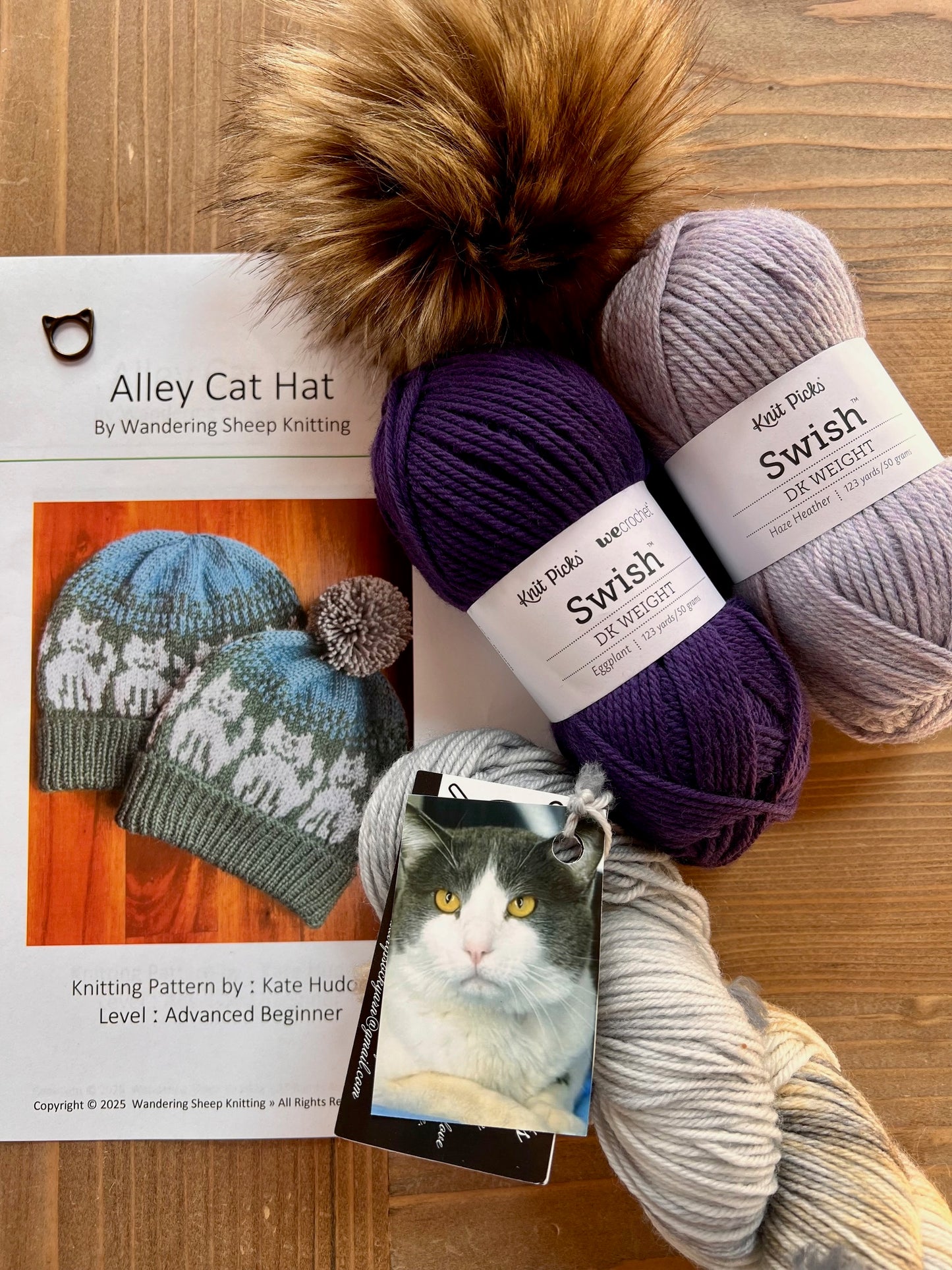 Alley Cat Hat - Purple Knitting Kit