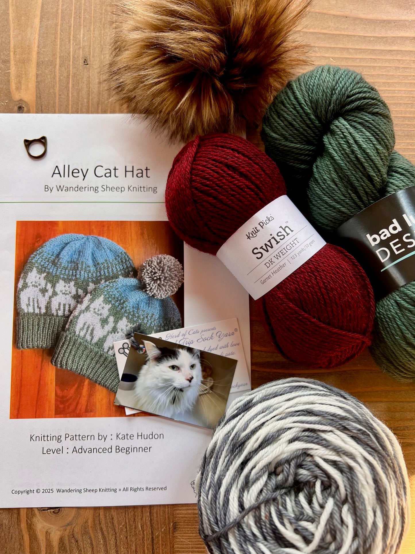 Alley Cat Hat - Burgundy Knitting Kit