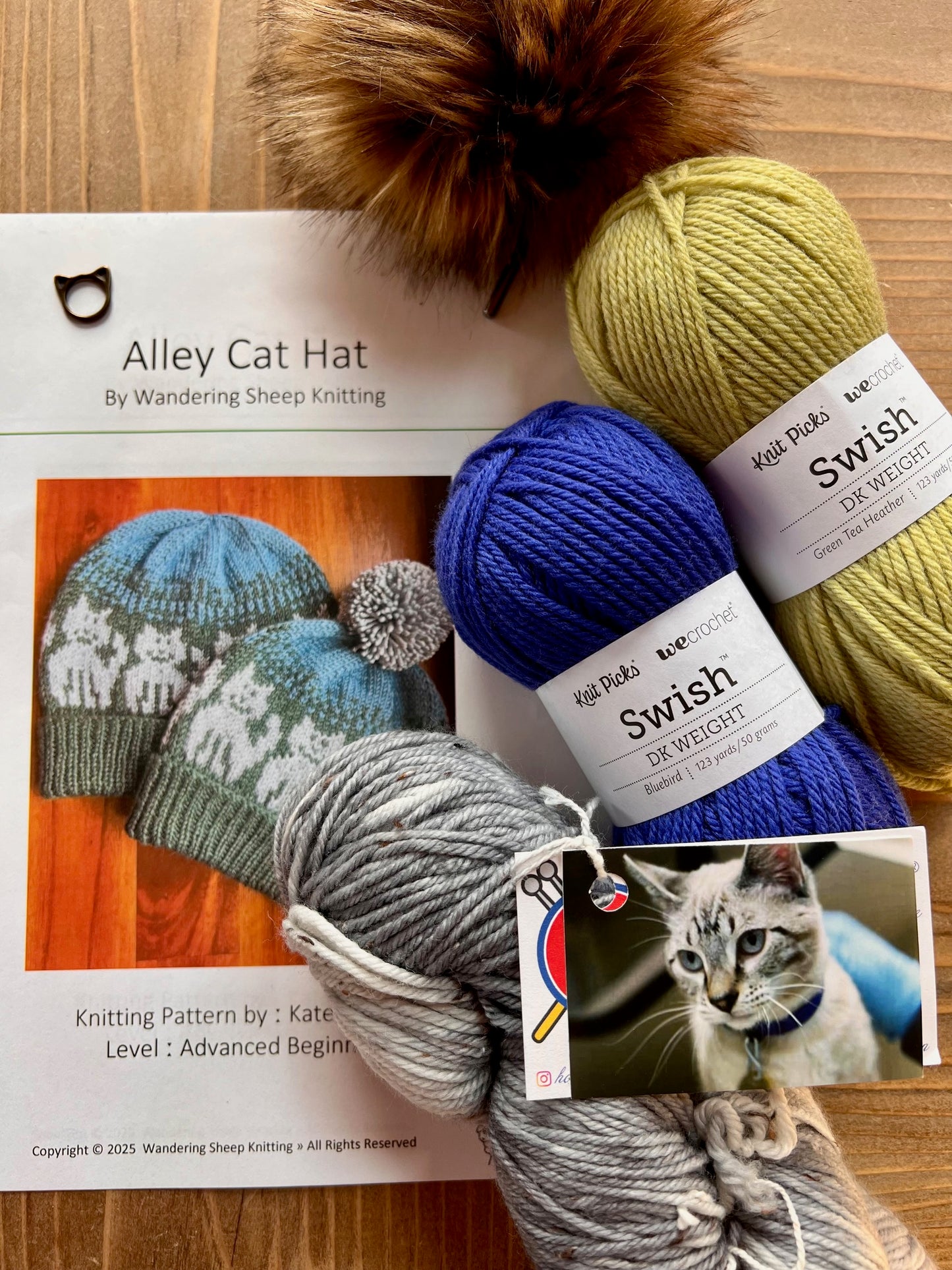 Alley Cat Hat - Blue Knitting Kit