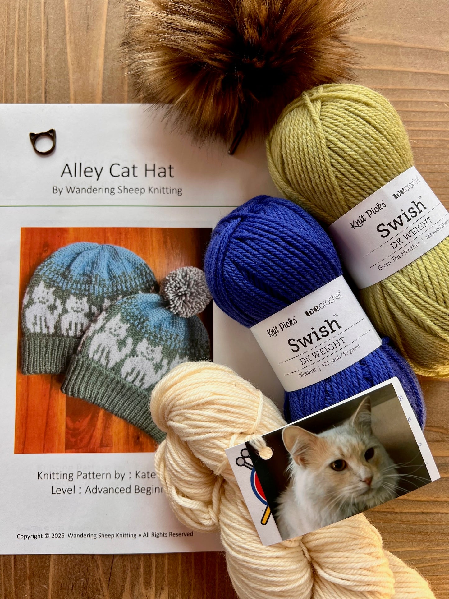 Alley Cat Hat - Blue Knitting Kit