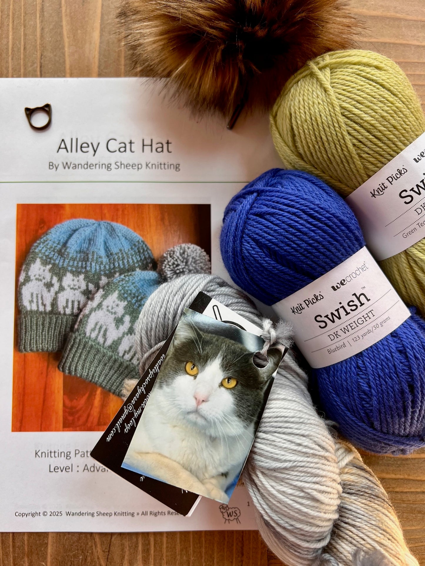 Alley Cat Hat - Blue Knitting Kit