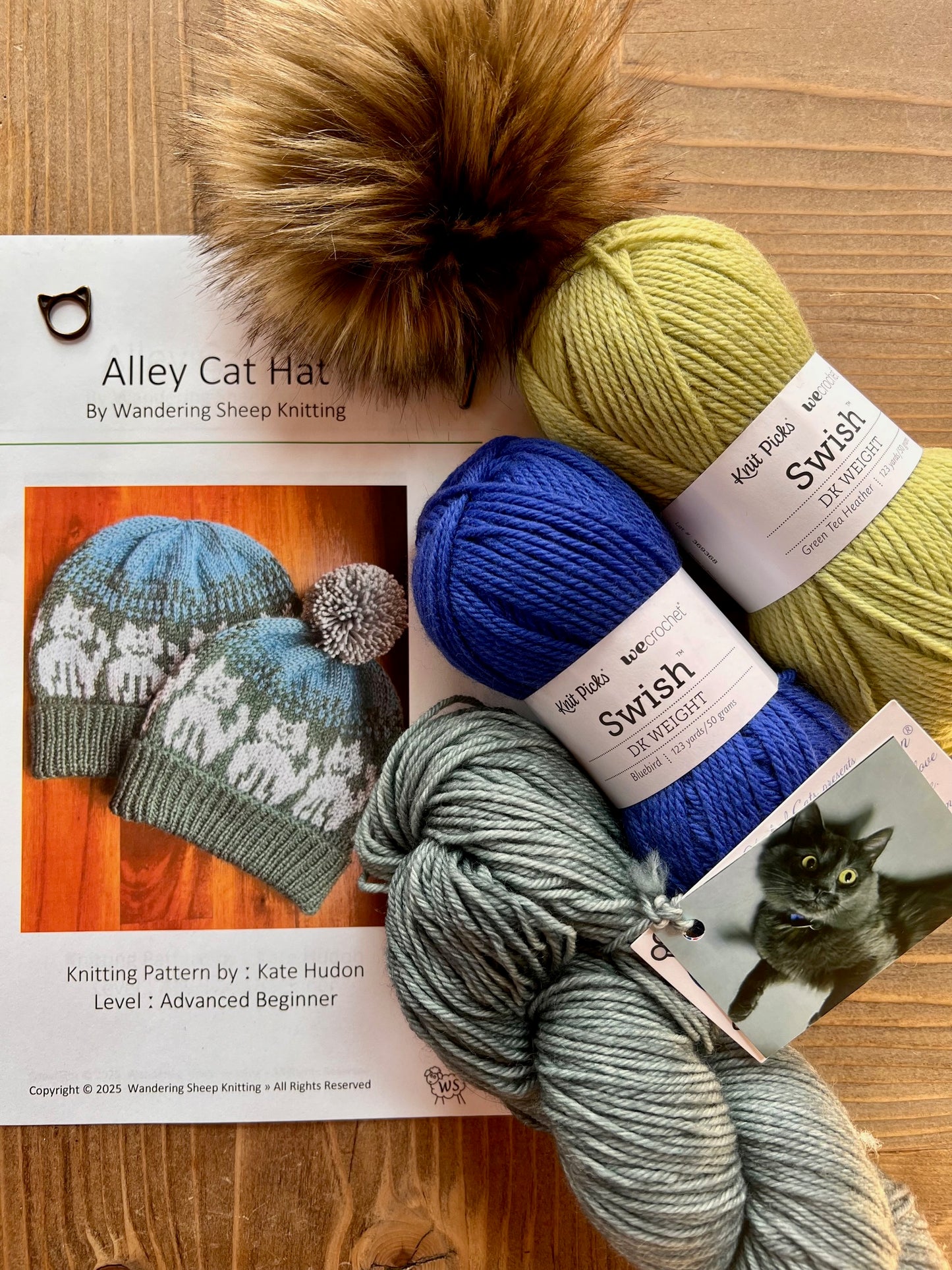 Alley Cat Hat - Blue Knitting Kit