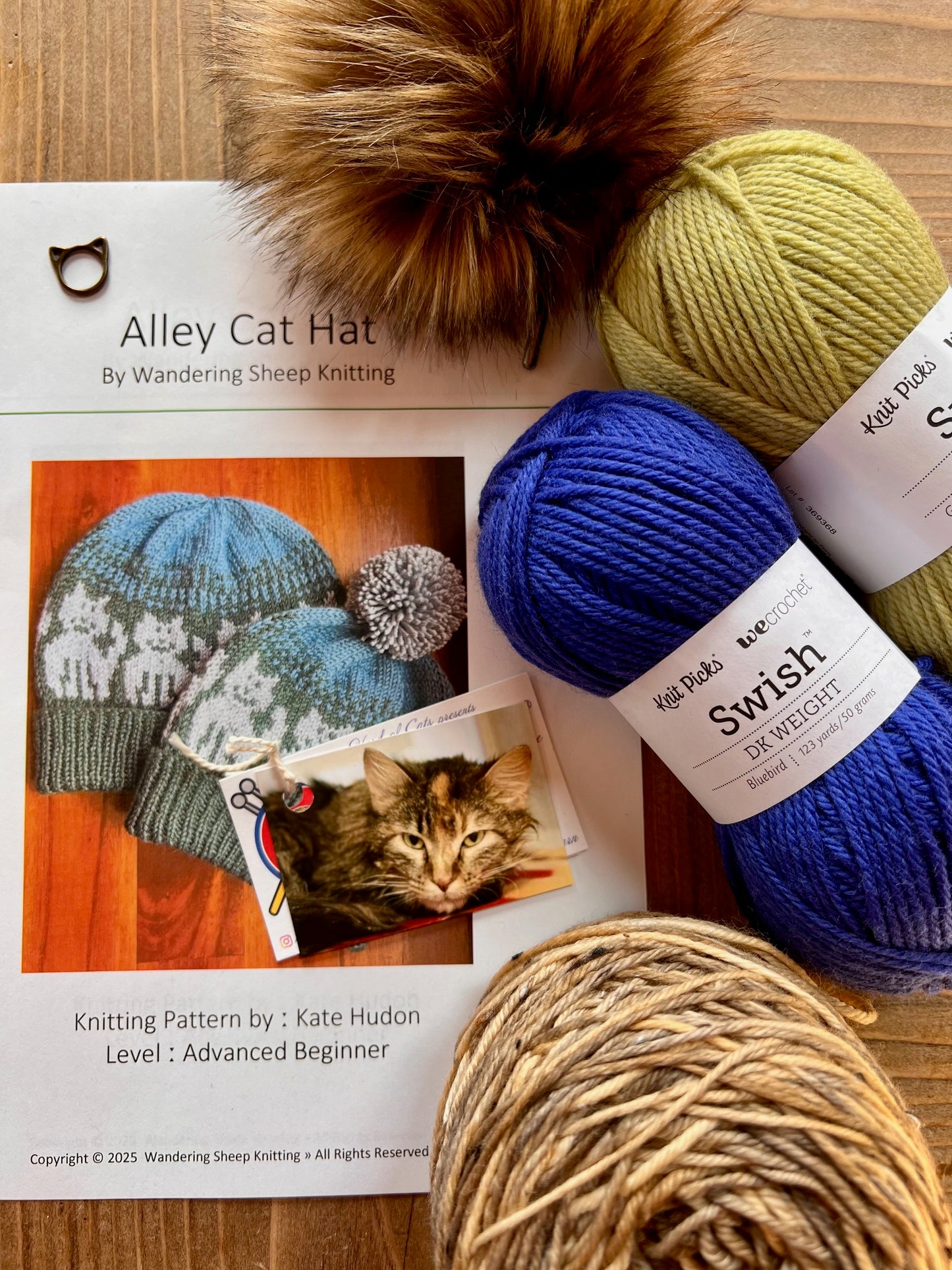 Alley Cat Hat - Blue Knitting Kit