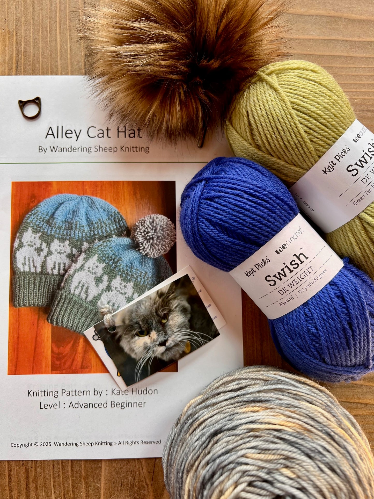 Alley Cat Hat - Blue Knitting Kit