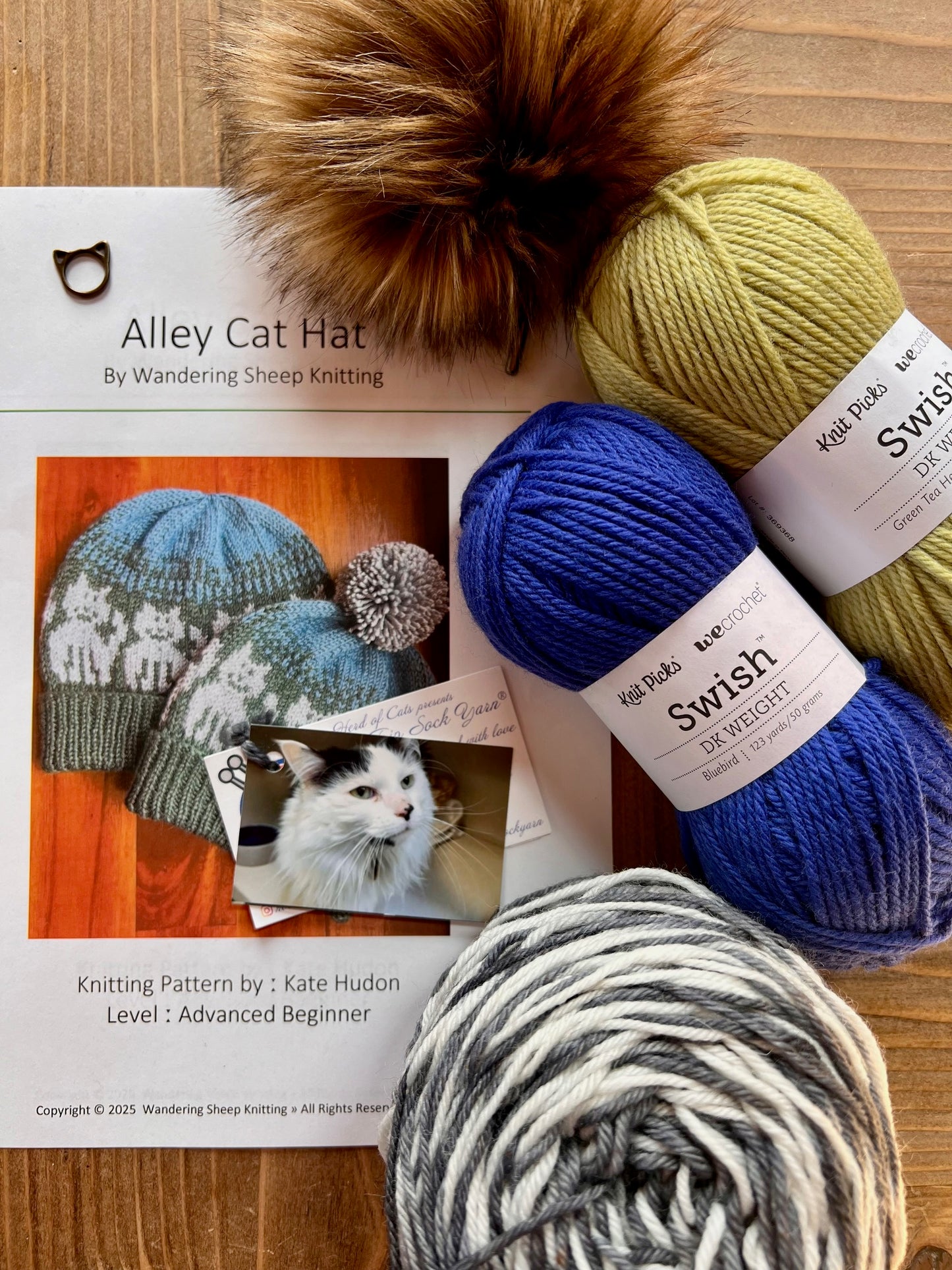 Alley Cat Hat - Blue Knitting Kit