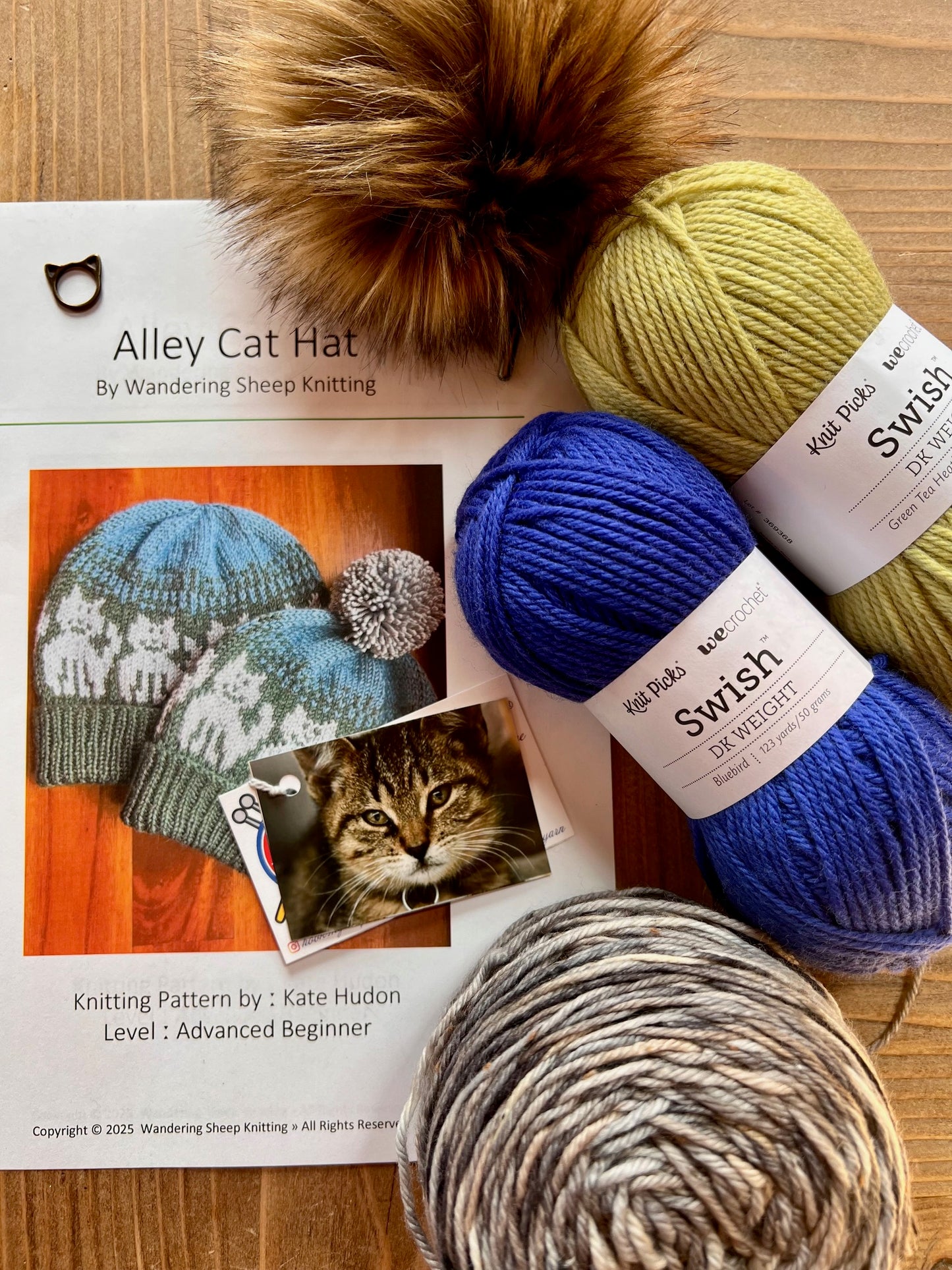 Alley Cat Hat - Blue Knitting Kit
